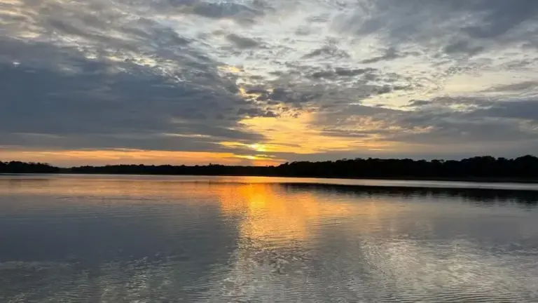 Entenda lei aprovada pelo Governo Federal que altera limites de reservas extrativistas em RO