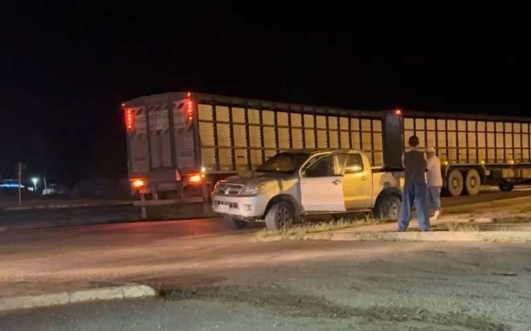 Acidente entre Hilux e Caminhão Boiadeiro é registrado na BR-364, no Trevo da Linha 603, em Jaru.
