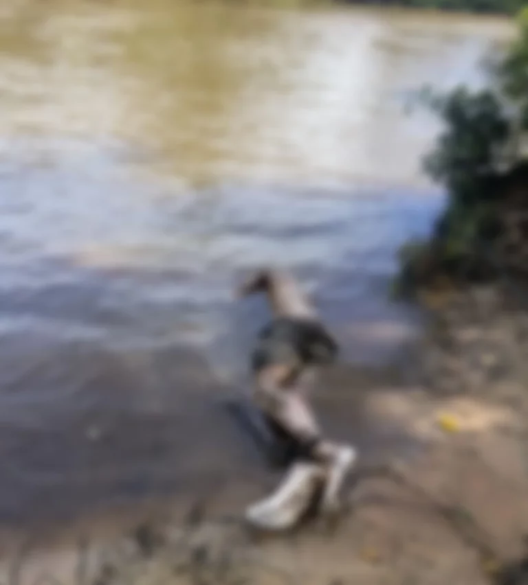 Rolim de Moura – URGENTE Homem com mãos e pés amarrados é encontrado morto dentro de Rio na linha 180
